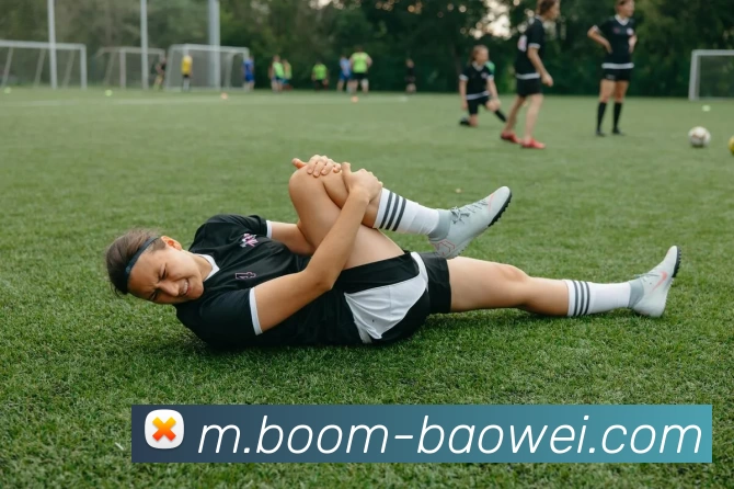 宝威体育平台生态图